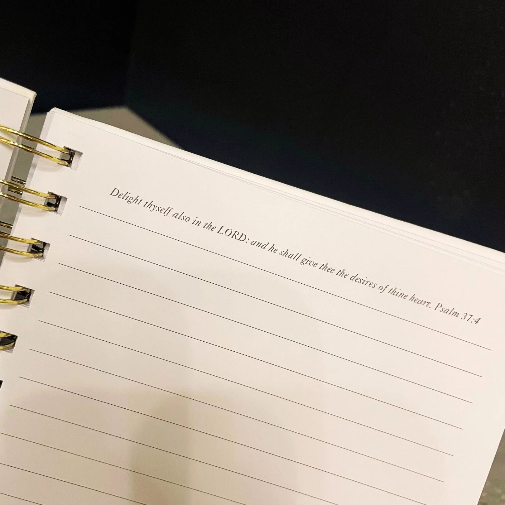 Cafe Noire Wired Journal - Image 5